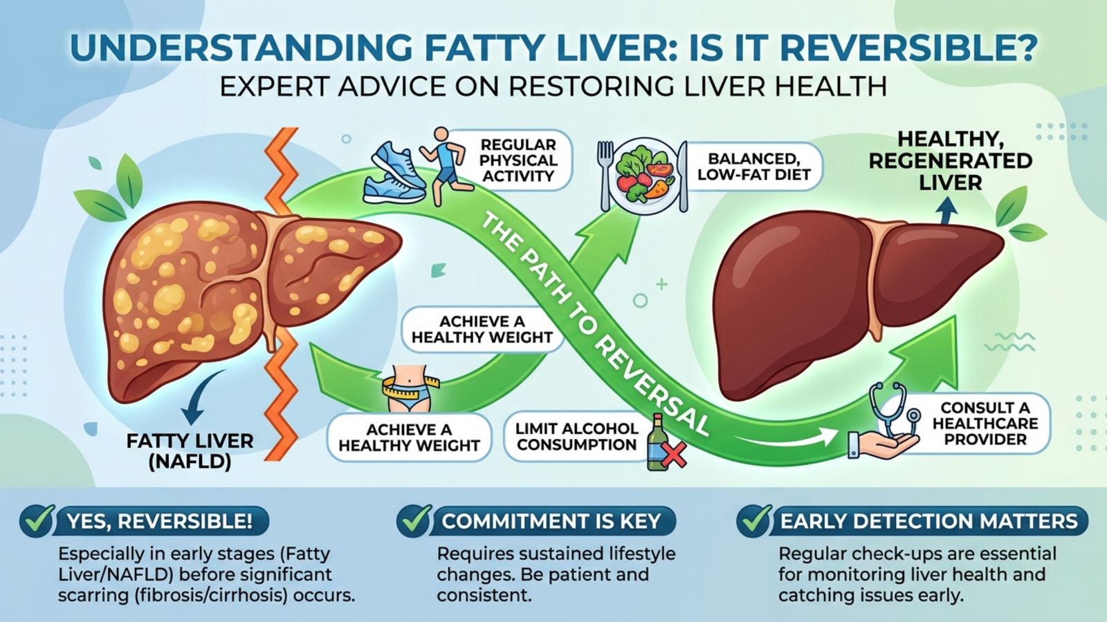 Fatty Liver Treatment